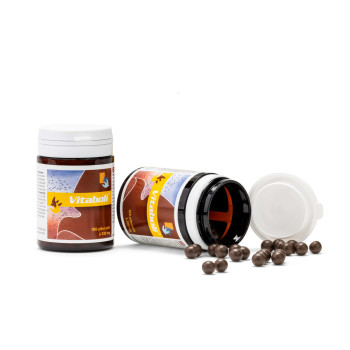 Vitaboli 100 Tabletten