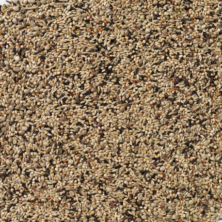 70 - Premium Eupheme 1kg - Vrac