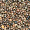 Vesces 1kg - Vrac Vesces 1kg - Vrac