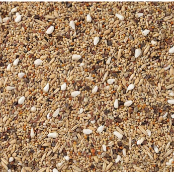 68 - Grandes Perruches sans Tournesols 1kg  - Deli Nature - Vrac