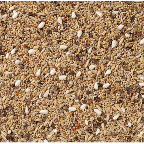 68 - Grandes Perruches sans Tournesols 1kg - Deli Nature - Vrac 68 - Grandes Perruches sans Tournesols 1kg - Deli Nature - Vrac
