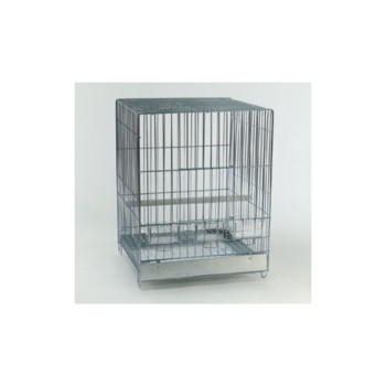 Rory Chrome Cage - Domus Molinari