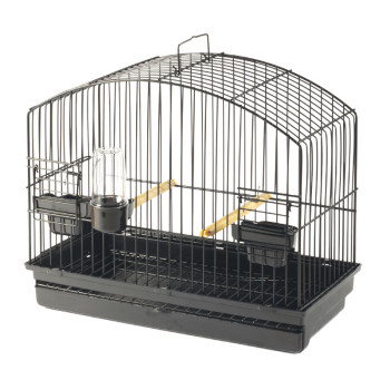 Gabbia d'esposizione border/fife 35.5×17.5×30cm - Noir - STA