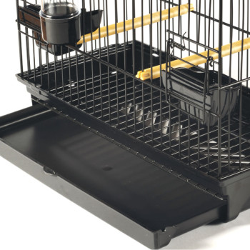 Gabbia d'esposizione border/fife 35.5×17.5×30cm - Noir - STA