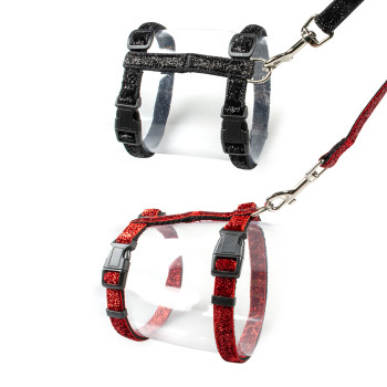 Cat harness + red leash