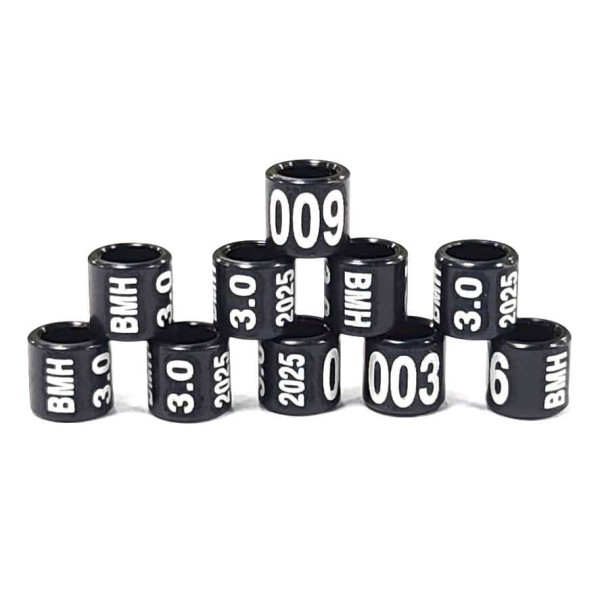 Ringen jaar ø 2,7 mm in aluminium - 2025 - (10 stuks)