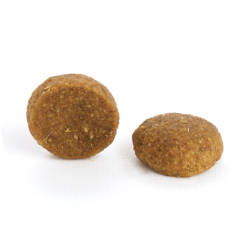 Adult Prestige Salmon 400g - Croquettes pour chats adultes - CproFood