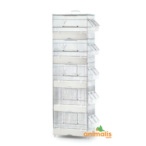 Domus-Molinari Column Chrome - 31x20x104cm