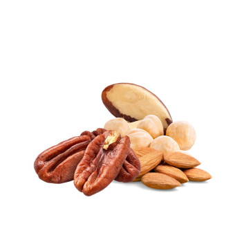 Pure Noten zonder dop 1,5kg - Your Parrot - Papegaai notenmix