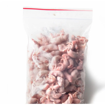 Topo neonato congelato 1-2g Premium - 25 pezzi