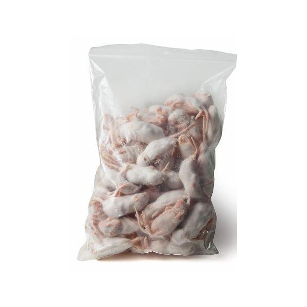 Rato felpudo congelado 4-5g - 1kg