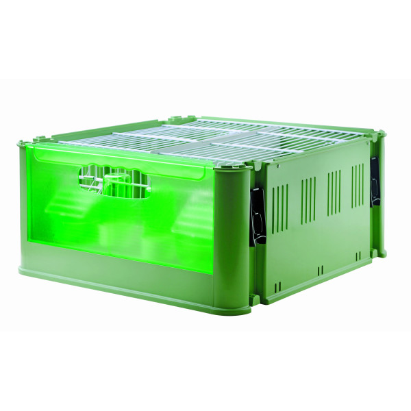 Box de transport "Tino Economic"