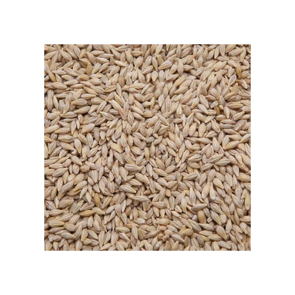 Barley for pigeons 1kg - Loose