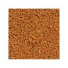 Semi di Camelina 1kg - Oro del piacere Semi di Camelina 1kg - Oro del piacere