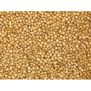 Graines de Quinoa 1kg - Vrac