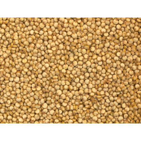 Graines de Quinoa 1kg - Vrac Graines de Quinoa 1kg - Vrac