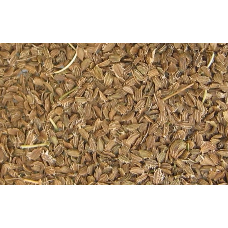 Sementes de cenoura 1kg Sementes de cenoura 1kg