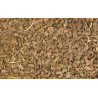 Sementes de cenoura 1kg Sementes de cenoura 1kg