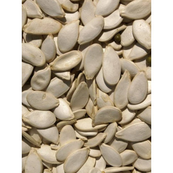 Semi di zucca 1kg