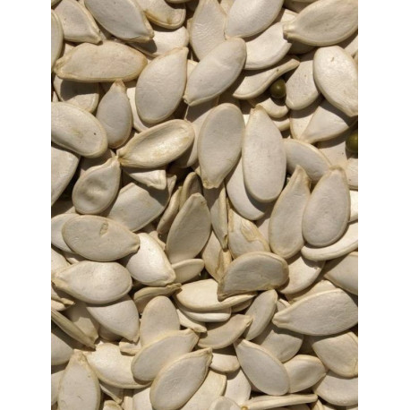 Semillas de calabaza 1kg