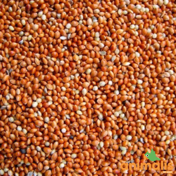 Roter Hirse 1kg