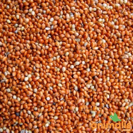 Roter Hirse 1kg Roter Hirse 1kg