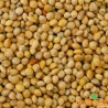 Millet jaune 1kg - Vrac Millet jaune 1kg - Vrac