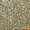 Millet vert 1kg - Blattner - Vrac Millet vert 1kg - Blattner - Vrac