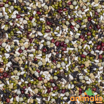 63 - Graines à Germer Indigènes et Perruches 1kg - Deli Nature - Vrac