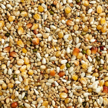 Natural Maxi Digest 2 - 3M Popcorn 25 kg