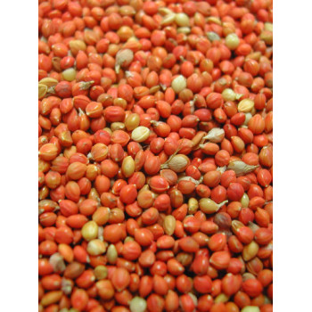 Panis rouge 25kg