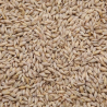 Barley for pigeons 25kg Barley for pigeons 25kg