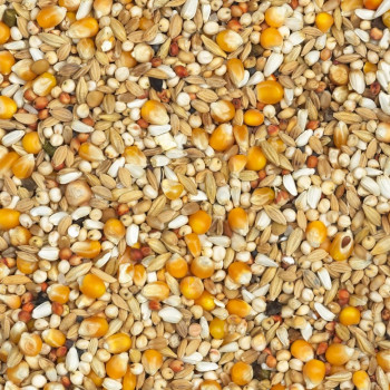 Dépuratif Casaert 20kg - Nr. 418 - Proteinarmes Mischfutter für Tauben - Vanrobaeys