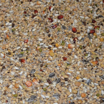 Sport premium Power 20kg - No.187 - Sports mix for pigeons - Vanrobaeys