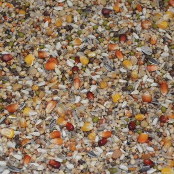Dynamik Premium Power 20kg - No.184 - Sports Mix for Pigeons - Vanrobaeys