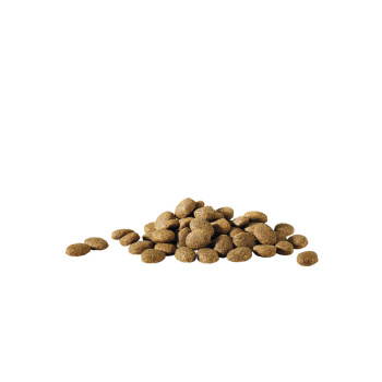 Crocchette Happy life "Essential" 20kg + 3kg Gratis - Promozione