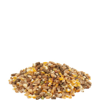 Gold 4 Mix 20Kg + 2kg Free - Promo