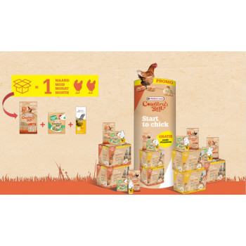 Start Kit Pintinhos - Caixa de início para pintinhos
