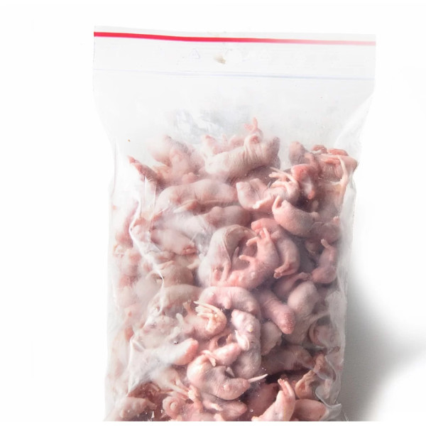 Ratinhos congelados 1-2g - 1kg
