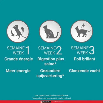 PURINA ONE Sterilcat Rich in Beef 3kg - For sterilised cats