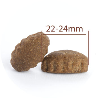 Adulto Todas as Raças com cordeiro e arroz 15kg + 3kg Grátis - Grande - Ração para cães com mais de 25kg - CproFood