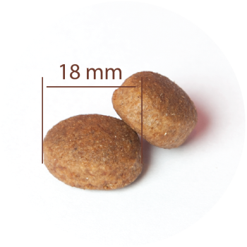 Large Adult All Breeds con pollo e riso 15 kg + 3 kg Gratis - Crocchette per cani di oltre 30 kg - CproFood