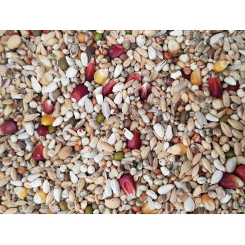 Aidi Girl Power 20kg - Sports mix for female pigeons