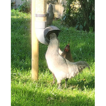 Futterautomat für Geflügel, Abfall- und schädlingsresistent, für Hühner 3kg - Olivgrün - Evena