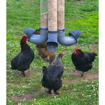 Comedero para aves de corral anti-desperdicio y anti-plagas para gallinas 7kg - Verde oliva - Evena