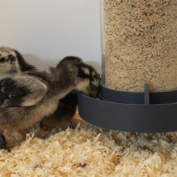 Evolutiver Futtertrog für Küken: Anti-Verschwendung und robust 1kg - Mit Aufhängevorrichtung - Evena