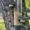 Comedero Exterior para Aves Silvestres gran capacidad 3kg - Evena Comedero Exterior para Aves Silvestres gran capacidad 3kg - Evena