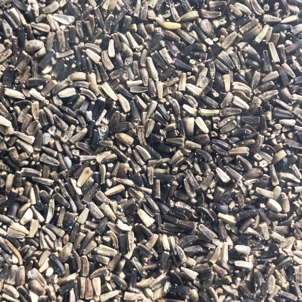 Achicoria 1kg - A granel