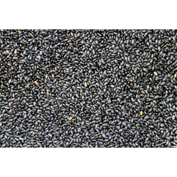 Semillas de albahaca 1kg - A granel