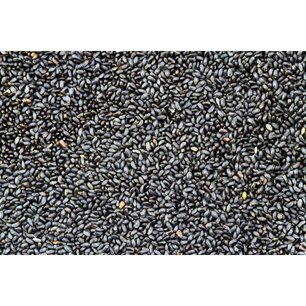 Sementes de Manjericão 1kg - A granel